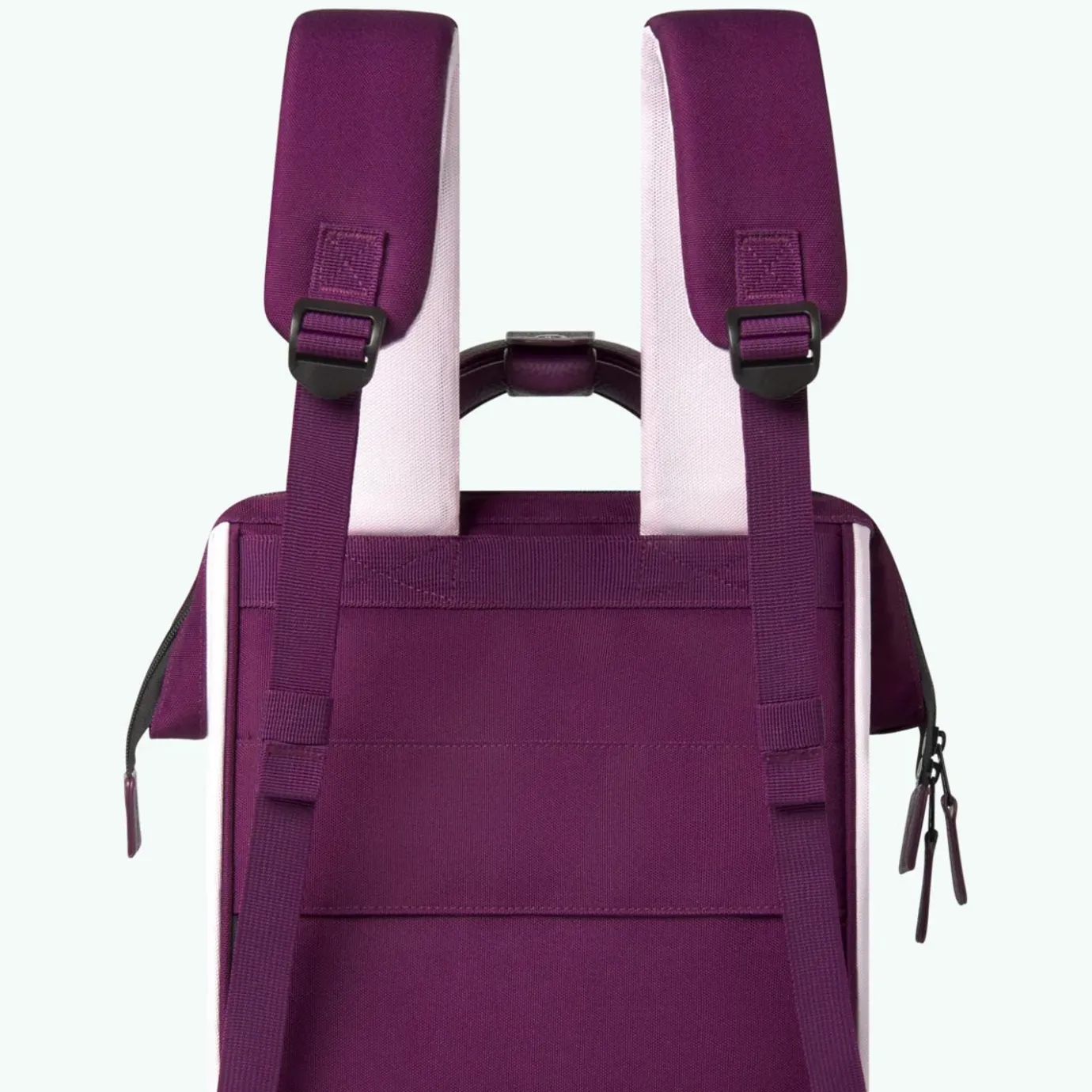 Medium Adventurer | Cabaïa Adventurer Purple