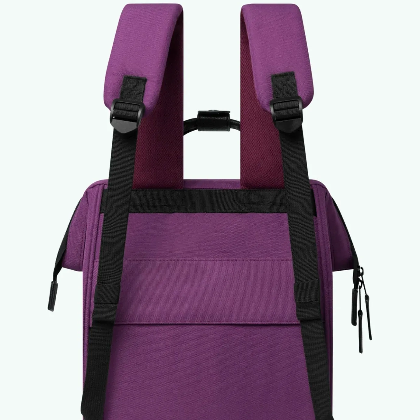 Medium Adventurer | Cabaïa Adventurer Purple