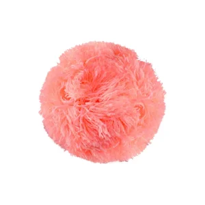 Bobbles | Cabaïa Bobble Coral